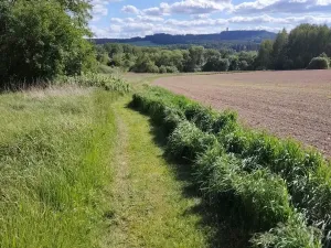 Prodej chalupy, Cheb - Skalka, 48 m2