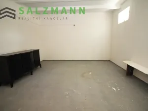 Prodej skladu, Plzeň, Francouzská třída, 39 m2