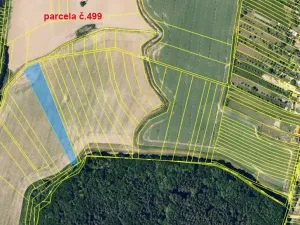 Prodej pole, Karlovice, 13069 m2