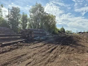 Prodej komerčního pozemku, Velká Hleďsebe, K Malé Hleďsebi, 28305 m2