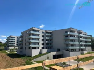 Prodej bytu 2+kk, Karlovy Vary, Sedlecká, 60 m2