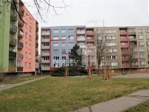 Prodej bytu 2+1, Ostrava - Přívoz, Arbesova, 54 m2