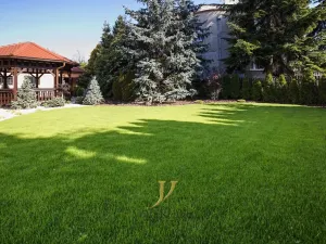 Pronájem bytu 3+1, Olomouc, Blanická, 108 m2