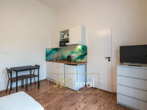 Pronájem bytu 1+kk, Uherský Ostroh, 23 m2