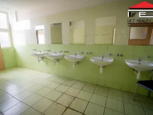 Prodej výrobních prostor, Ostrava, Lihovarská, 21100 m2