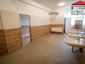 Prodej výrobních prostor, Ostrava, Lihovarská, 21100 m2
