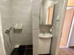 Pronájem bytu 1+kk, Most, K. H. Borovského, 26 m2