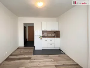 Pronájem bytu 1+kk, Praha - Písnice, Na okruhu, 20 m2