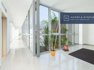 Pronájem bytu 1+kk, Brno, Anenská, 16 m2