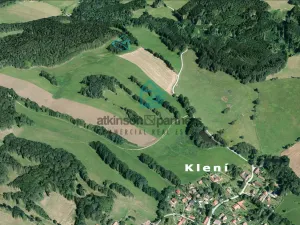 Prodej pozemku, Benešov nad Černou - Klení, 6805 m2