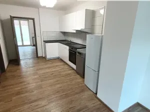 Pronájem bytu 2+kk, Ústí nad Labem - Ústí nad Labem-centrum, Elišky Krásnohorské, 65 m2