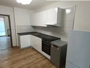 Pronájem bytu 2+kk, Ústí nad Labem - Ústí nad Labem-centrum, Elišky Krásnohorské, 65 m2