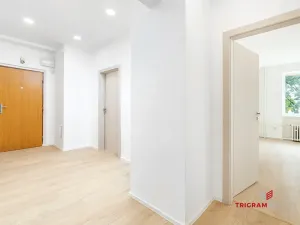 Prodej bytu 3+1, Hradec Králové - Pražské Předměstí, Haškova, 74 m2
