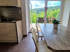 Prodej rodinného domu, Tanvald, Poštovní, 179 m2