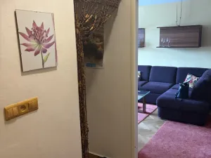 Pronájem bytu 2+1, Brno - Ponava, Ptašínského, 55 m2