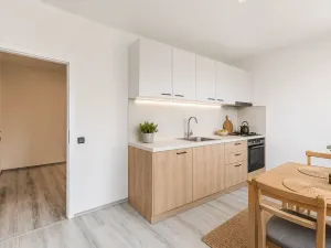 Prodej bytu 3+1, Liberec, Česká, 70 m2