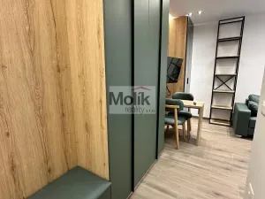 Prodej bytu 1+kk, Golem, 33 m2