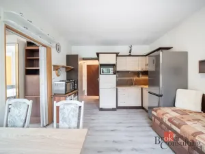 Prodej bytu 1+1, Brno - Černovice, Turgeněvova, 34 m2