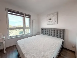 Pronájem bytu 3+kk, Praha - Žižkov, Olgy Havlové, 110 m2
