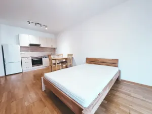 Pronájem bytu 1+kk, Praha - Žižkov, Malešická, 53 m2