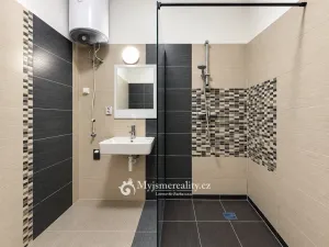 Pronájem bytu 1+1, Znojmo, Jiráskova, 48 m2