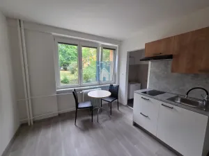 Pronájem bytu 1+kk, Plzeň, Táborská, 25 m2