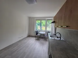 Pronájem bytu 1+kk, Plzeň, Táborská, 25 m2