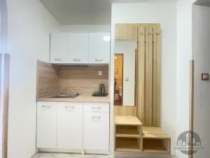 Pronájem bytu 1+kk, Praha - Smíchov, Plzeňská, 27 m2