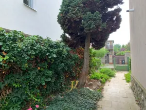Pronájem bytu 1+kk, Olomouc - Hodolany, Řezníčkova, 37 m2
