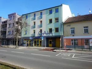 Pronájem bytu 1+kk, Prostějov, Kostelecká, 30 m2