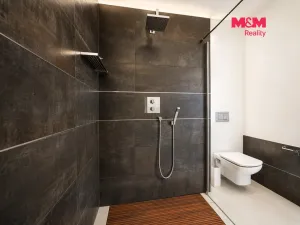 Prodej bytu 3+kk, Mladá Boleslav - Mladá Boleslav II, Boženy Němcové, 104 m2