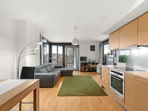 Prodej bytu 2+kk, Praha - Žižkov, Pitterova, 52 m2
