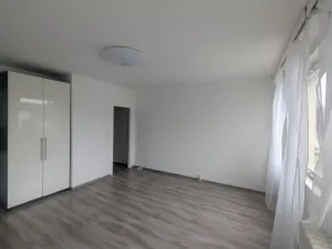 Pronájem bytu 1+kk, Ústí nad Labem - Krásné Březno, Dr. Horákové, 31 m2