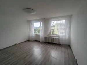 Pronájem bytu 1+kk, Ústí nad Labem - Krásné Březno, Dr. Horákové, 31 m2