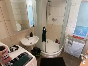 Pronájem bytu 1+kk, Brno - Veveří, Smetanova, 30 m2