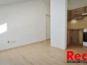 Pronájem bytu 1+kk, Brno - Veveří, Smetanova, 17 m2