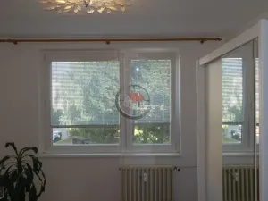 Prodej bytu 3+1, Třebíč - Borovina, Okružní, 77 m2