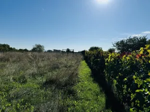Prodej zahrady, Týnec, Náves, 1237 m2