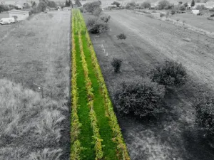 Prodej zahrady, Týnec, Náves, 1237 m2