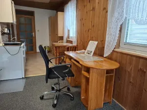 Pronájem bytu 1+kk, Brno, Viniční, 29 m2