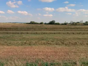 Prodej pozemku, Dolní Roveň, 2172 m2