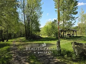 Prodej komerčního pozemku, Žabeň, 32500 m2