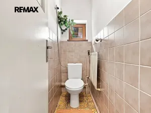 Prodej rodinného domu, Mladý Smolivec, 173 m2