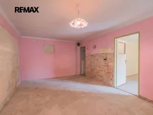 Prodej rodinného domu, Mladý Smolivec, 173 m2