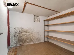 Prodej rodinného domu, Mladý Smolivec, 173 m2