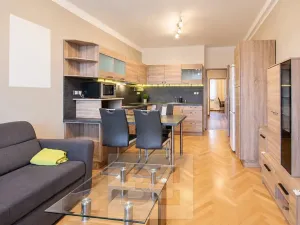 Pronájem bytu 3+kk, Plzeň, Francouzská třída, 52 m2