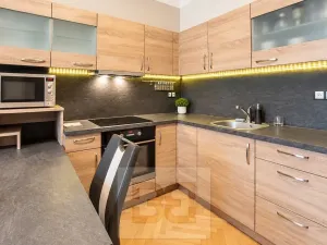 Pronájem bytu 3+kk, Plzeň, Francouzská třída, 52 m2