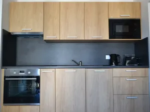 Prodej bytu 3+kk, Loučná pod Klínovcem, 48 m2