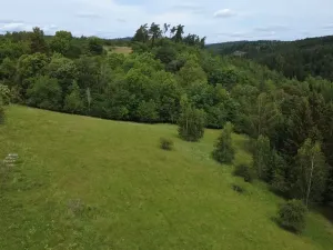 Prodej pozemku pro bydlení, Planá, 1435 m2