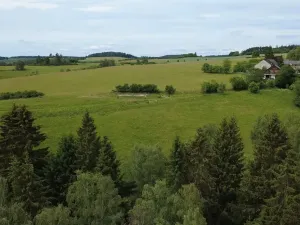 Prodej pozemku pro bydlení, Planá, 1218 m2